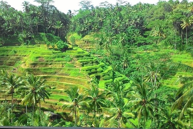 Bali Benoa Shore Excursion for Cruises Passenger - All Inclusive - Meeting and Pickup Points