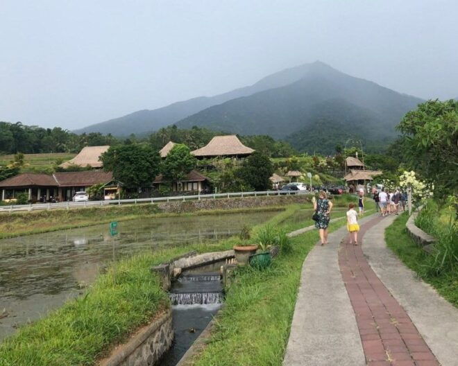 Bali: Beratan Temple, Jatiluwih, & Handara Heaven Gate Tour - Lunch and Mountain Views