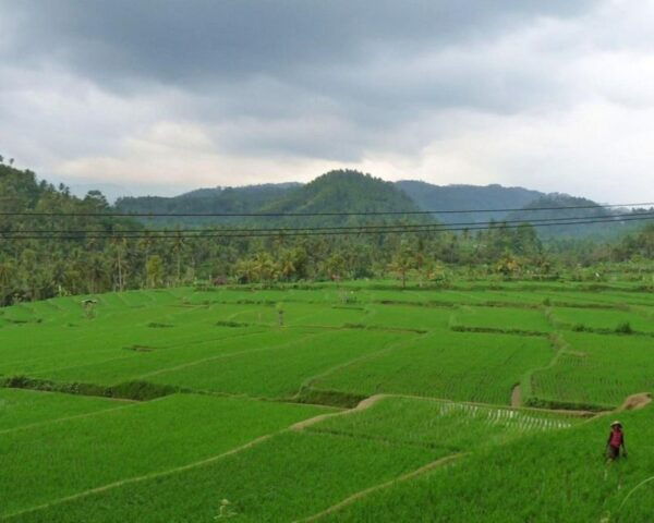 Bali: Beratan Temple, Jatiluwih, & Handara Heaven Gate Tour - Duration of the Tour