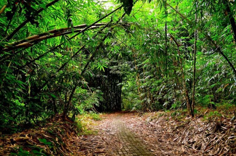 Bali: Besakih Great Temple & Penglipuran Village Day Tour - Good To Know