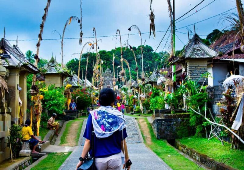 Bali: Besakih Great Temple & Penglipuran Village Day Tour - Exploring Bali’s Heritage: What You Can Expect