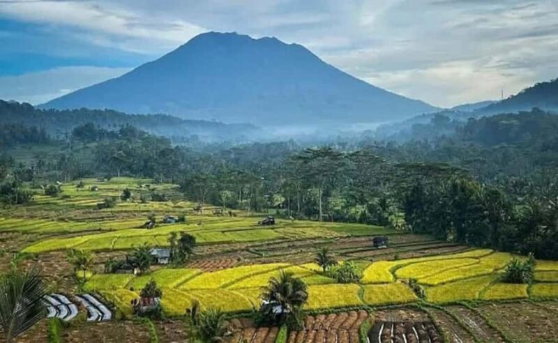 Bali: Besakih Temple and Sidemen Tour - Bali: Besakih Temple and Sidemen Tour Review