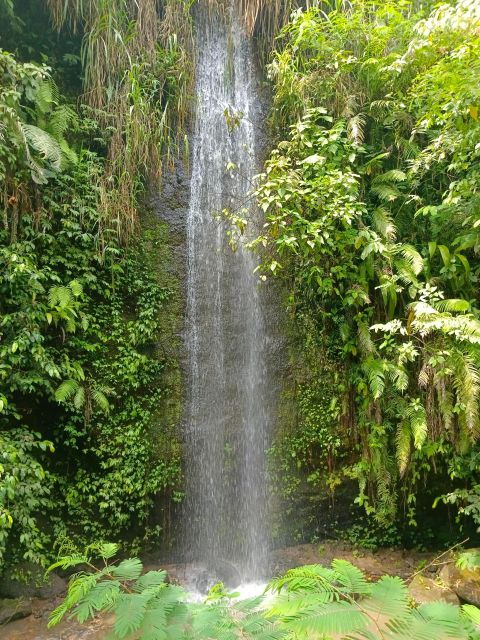 Bali : Best Day Trip to Besakih Temple & Hidden Waterfalls - Trip Highlights