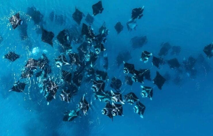 Bali : Best of Nusa Penida Snorkeling & West Tour Inclusive - Tour Duration and Availability