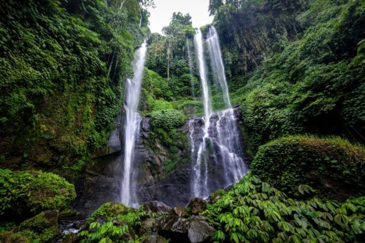 Bali: Best of the Best Bali Sekumpul Waterfall - Activity Details
