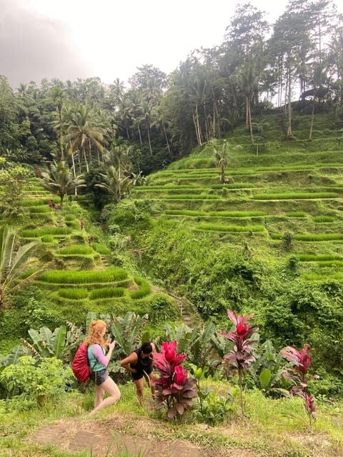 Bali Best of Ubud Surounding Tour With Barong & Keris Dance - Exploring Ubuds Monkey Forest
