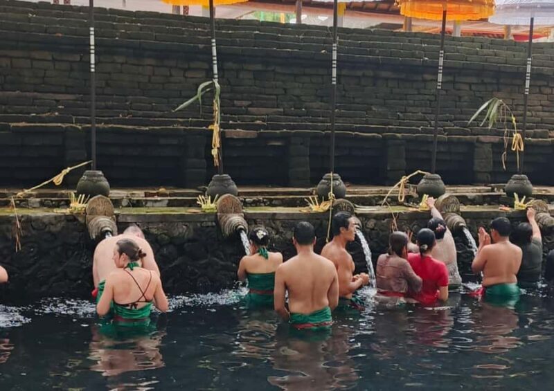 Bali: Best of Ubud Tour All Inclusive - Who Will Appreciate This Tour?  