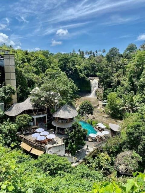 Bali: Best of Ubud Waterfalls Tour - Who Is This Tour For?