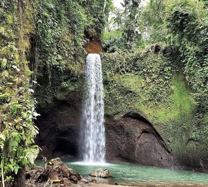 Bali: Best of Ubud Waterfalls Tour - Transportation & Group Size