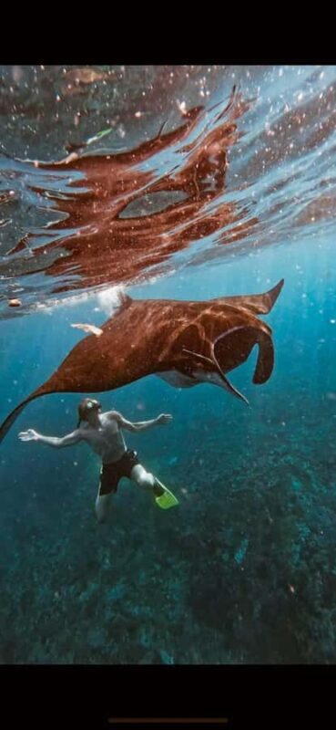 Bali : Best Trip of Nusapenida Island in one day - Why This Tour Offers Great Value