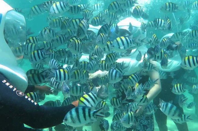 Bali Best Watersport Sea walker,Parasailing adventure,Jet sky - A Detailed Look at the Tour Experience