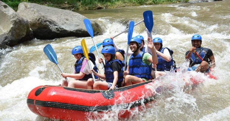 Bali: Best White Water Rafting With Lunch & Private Transfer - Experience Highlights