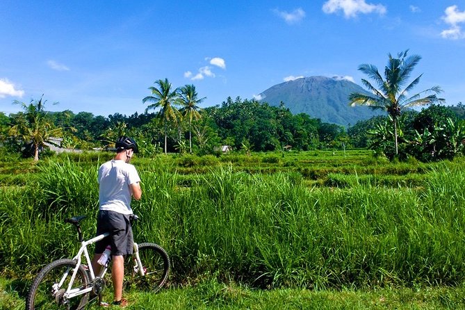 Bali Bike Adventure Tour - Tour Details