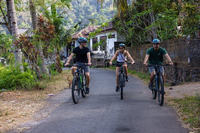 Bali Bike Tour Ubud Area - Exploring the Bali Bike Tour Ubud Area: A Genuine Look