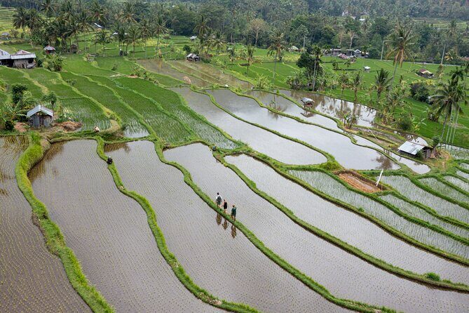 Bali Bike Tour Ubud Area - Practical Details: What to Expect