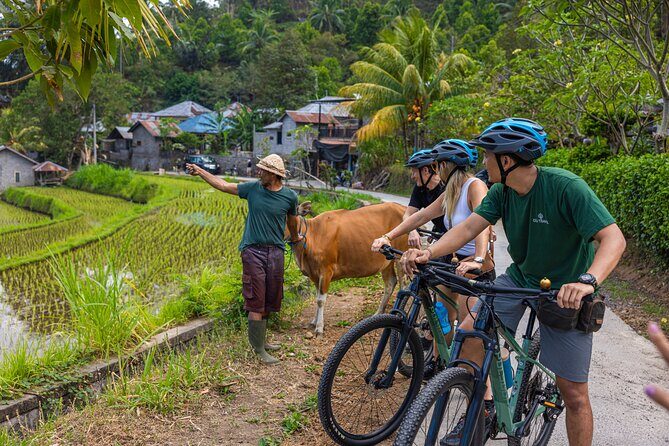 Bali Bike Tour Ubud Area - Is This Tour Worth It?
