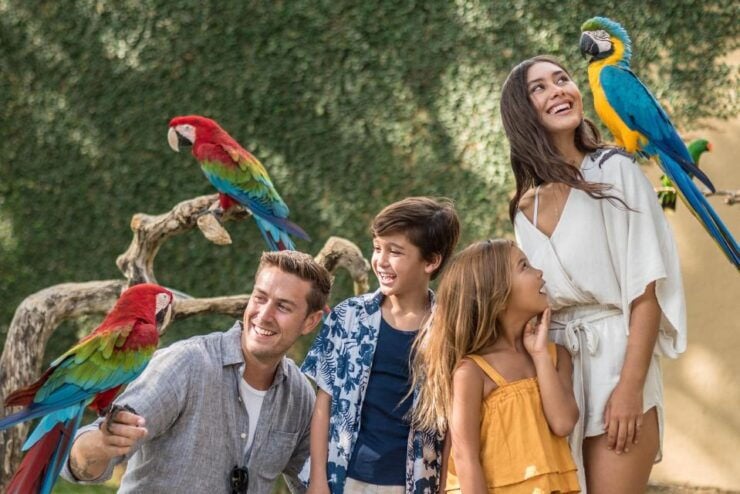 Bali Bird Park 1-Day Admission Ticket - Customer Reviews