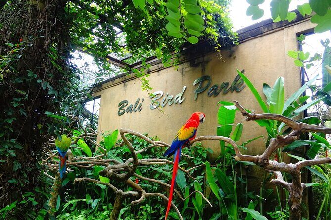 Bali Bird Park Admission Pass - Exploring Bali Bird Park: What to Expect