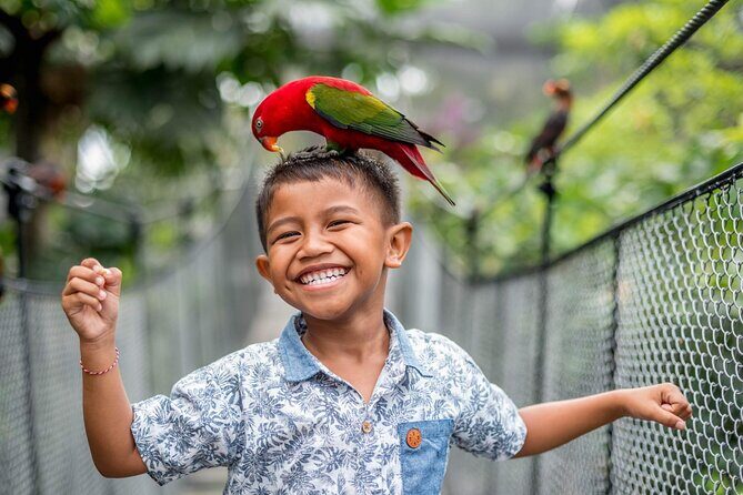 Bali Bird Park Admission Pass - The Practical Side: What You Need to Know
