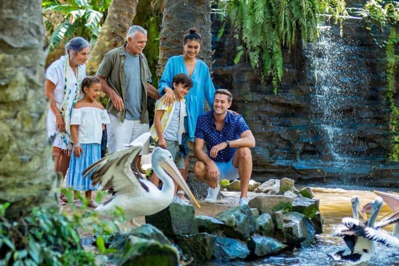 Bali Bird Park & Pirate Dinner Cruise the Unique Adventure - A Closer Look at the Itinerary