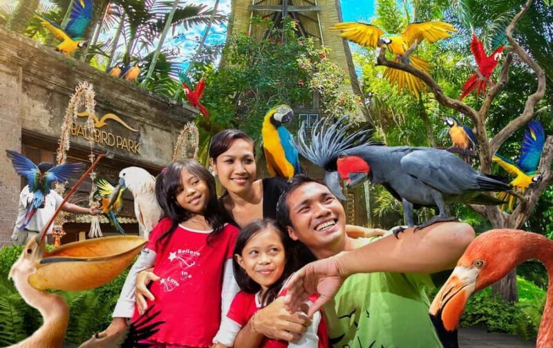 Bali Bird Park & Pirate Dinner Cruise the Unique Adventure - An In-Depth Look at the Experience