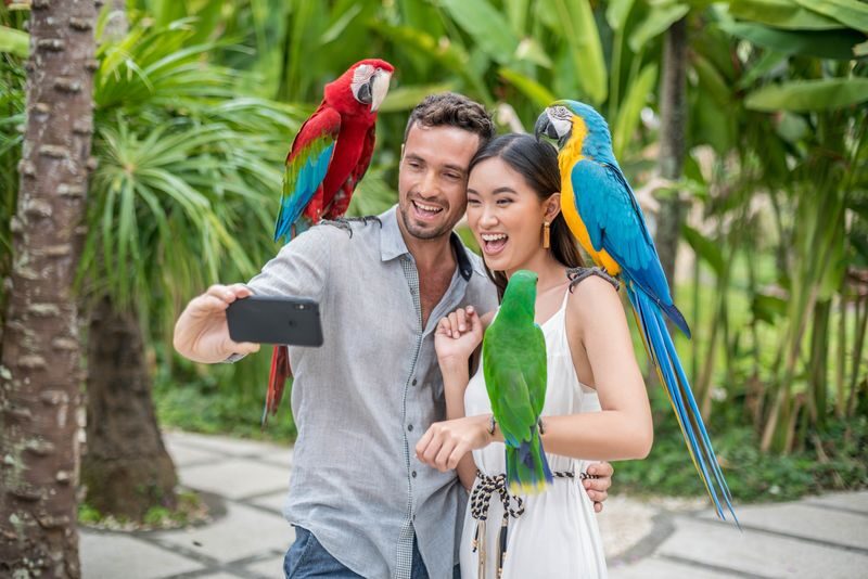 Bali Bird Park Ticket - Inside Bali Bird Park’s tropical gardens