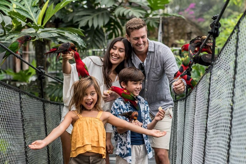 Bali Bird Park Ticket - Plan your visit around the shows