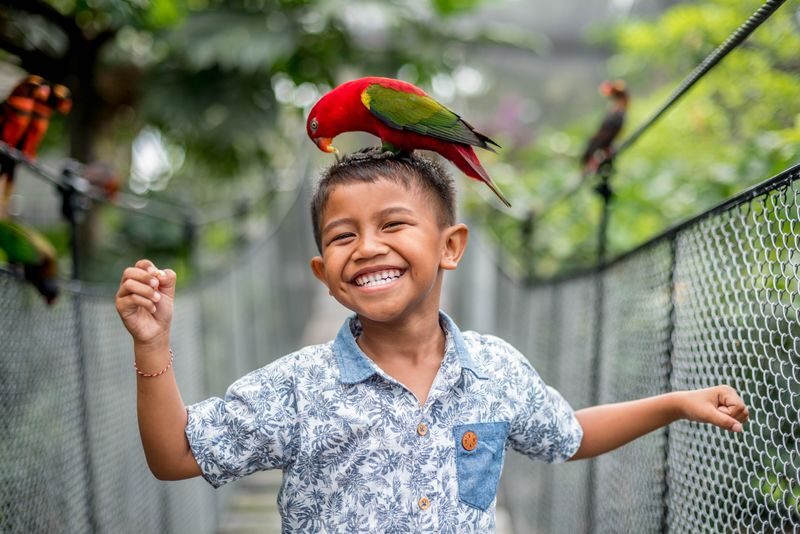Bali Bird Park Ticket - A practical route for two or three hours