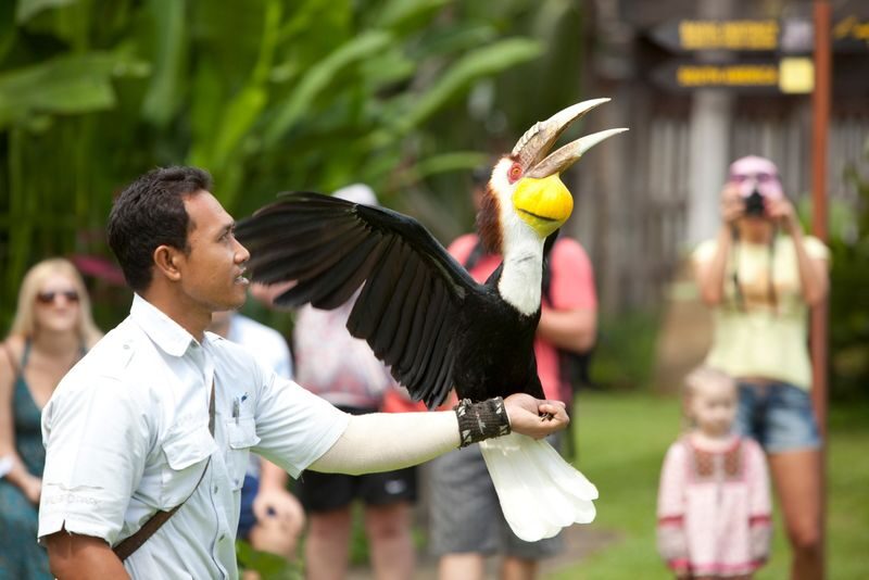 Bali Bird Park Ticket - What the ticket costs, and what it includes