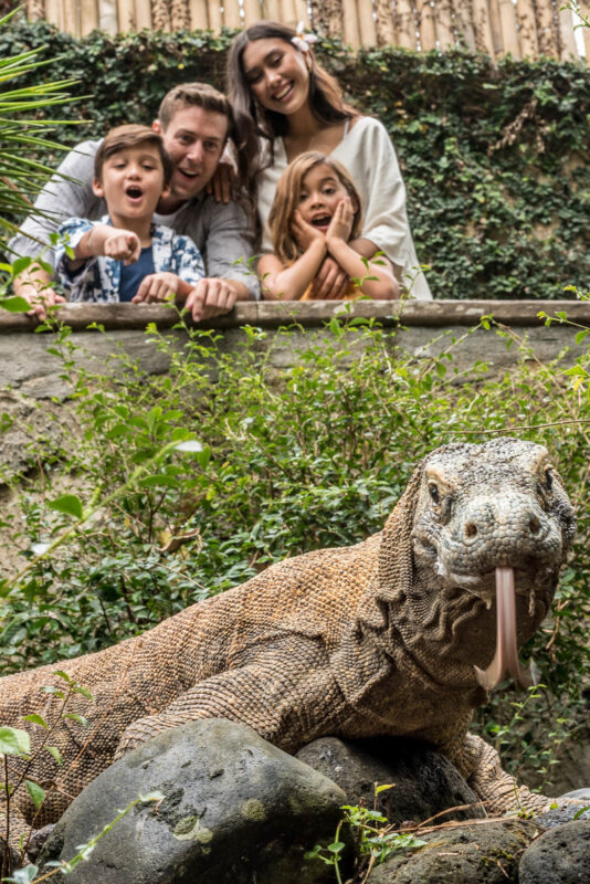 Bali Bird Park Ticket - Getting there and sorting out entry