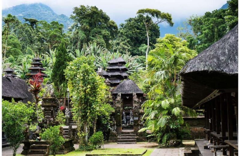 Bali: Bird Village, Batukaru Temple & Rice Terraces Tour - Things to Keep in Mind
