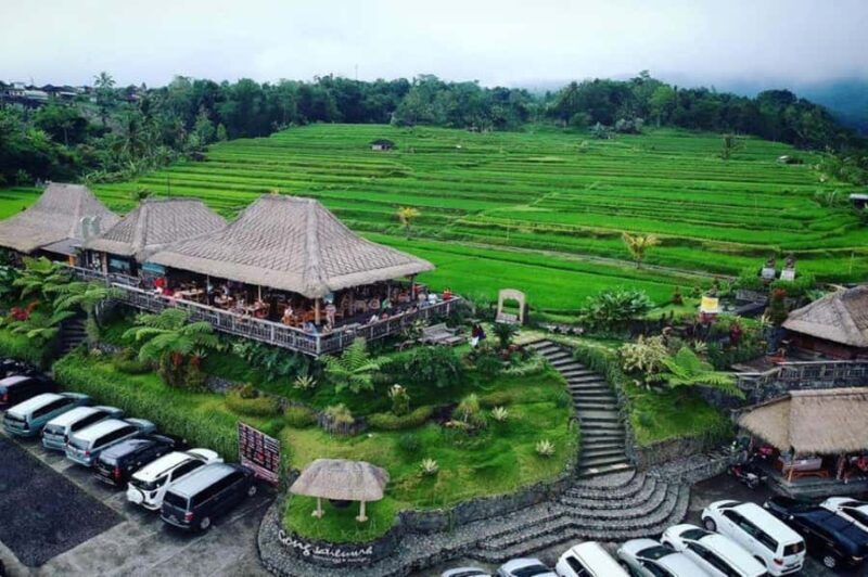 Bali: Bird Village, Batukaru Temple & Rice Terraces Tour - Final Thoughts