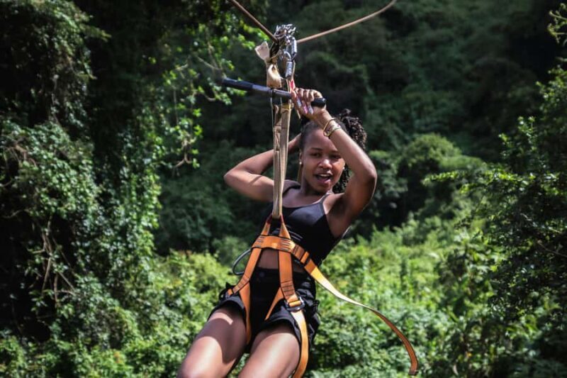 Bali: Bird-Watching Walk & Jungle Zipline Adventure - The Experience: A Detailed Look