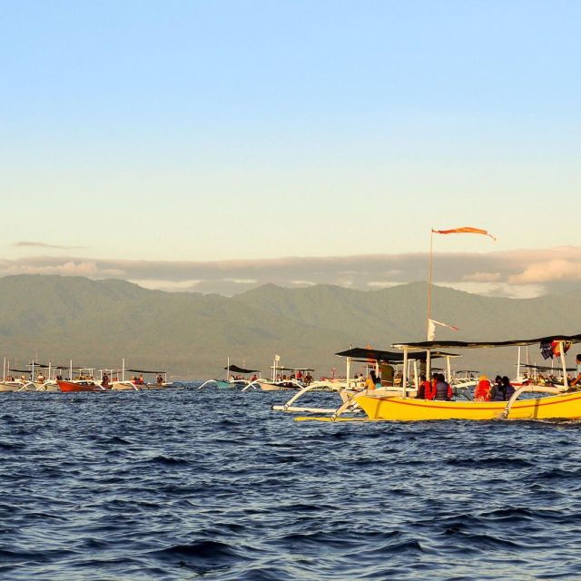 Bali Bliss: Dolphin Lovina Private Expedition - Driver and Pickup Service