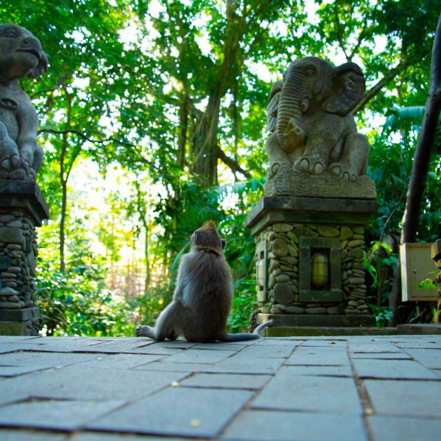 Bali Bliss: Tropical Escape & Cultural Wonders Tour - Good To Know