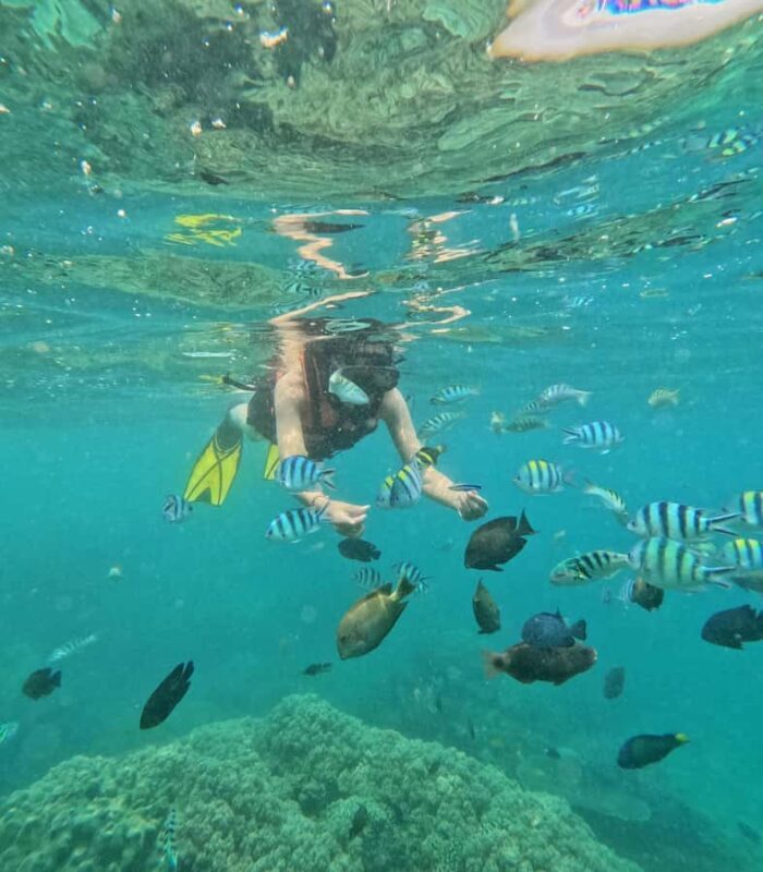 Bali: Blue Lagoon and Tanjung Jepun Snorkeling Tour - An In-Depth Look at the Bali Snorkeling Tour