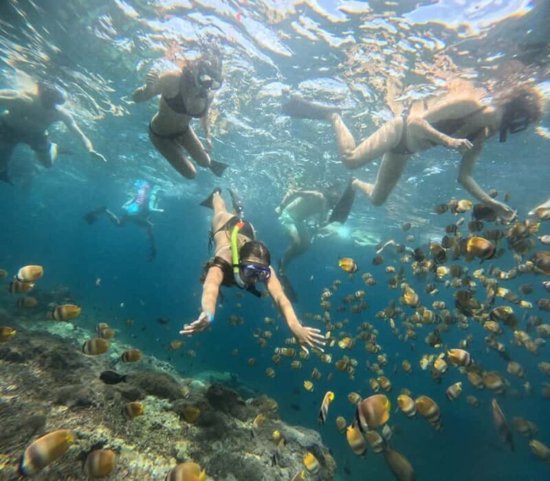 Bali Blue Lagoon and Tanjung Jepun Snorkeling Tour with - Discover Bali’s Underwater Wonders: Blue Lagoon and Tanjung Jepun Snorkeling Tour