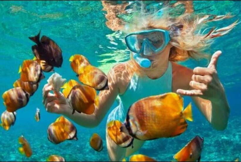 Bali: Blue Lagoon and Tanjung Jepun Snorkeling Trip - The Sum Up