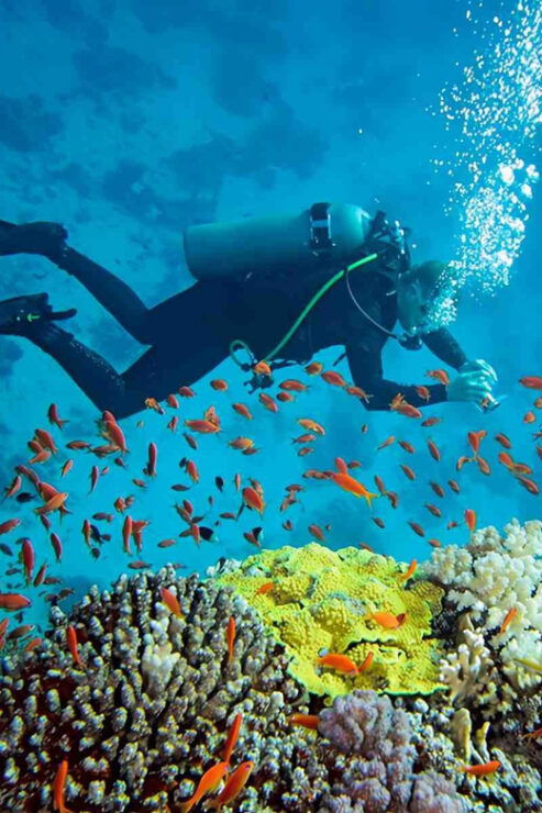 Bali: Blue Lagoon Beach Snorkeling Adventure With Lunch - Key Points