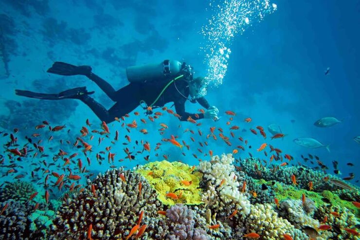 Bali: Blue Lagoon Beach Snorkeling Adventure With Lunch - Experience Highlights