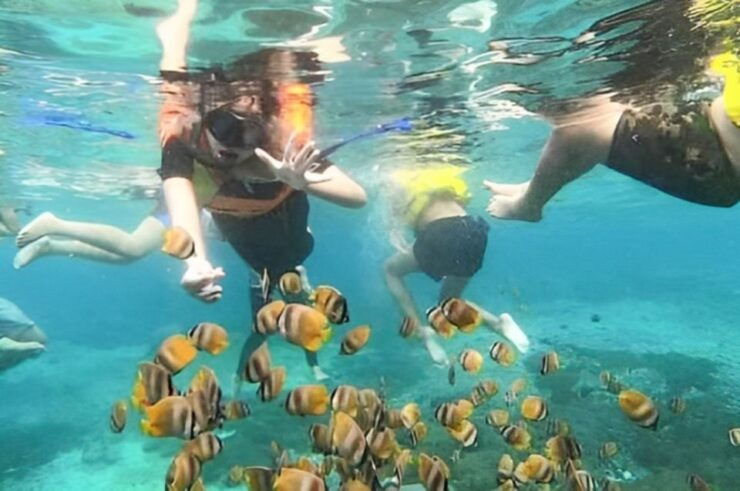 Bali: Blue Lagoon Beach Snorkeling Tour With Lunch - Snorkeling Experience in Bali