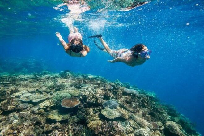 Bali: Blue Lagoon Beach Snorkeling Tour With Lunch - Inclusions in the Tour Package