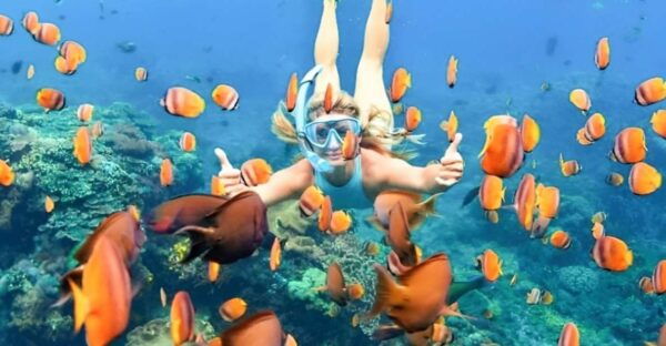 Bali: Blue Lagoon Beach Snorkeling Tour With Lunch - The Sum Up