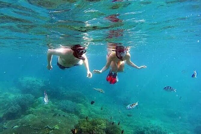 Bali Blue Lagoon Snorkeling, Lempuyang and Waterfall Tour - Practical Details and Considerations