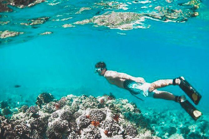 Bali Blue Lagoon Snorkeling - Lunch and Transport All Inclusive - Authentic Experiences from Real Travelers