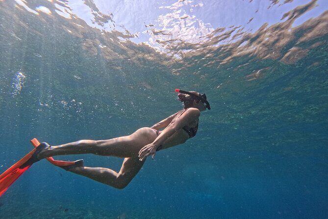 Bali Blue Lagoon Snorkeling - Lunch and Transport All Inclusive - Practical Tips & Considerations