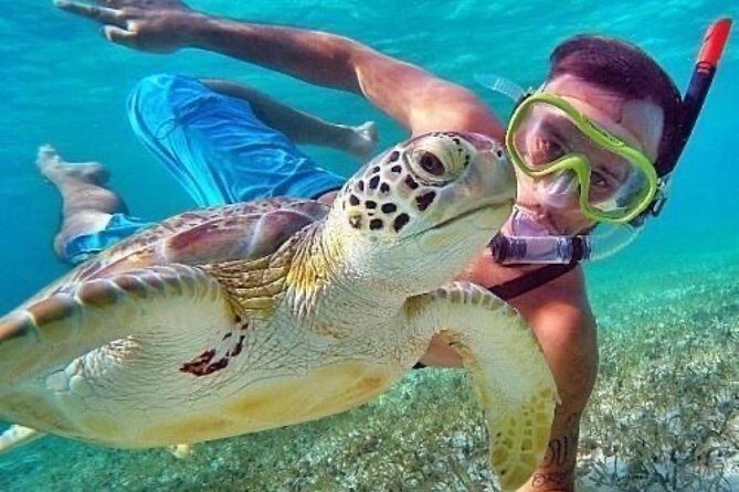 Bali Blue Lagoon Snorkeling - Lunch and Transport All Inclusive - How Does It Value Compare?