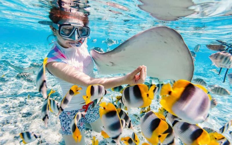 Bali Blue Lagoon Snorkeling Tour - Good To Know