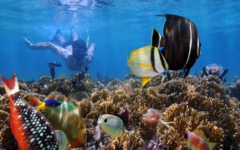 Bali Blue Lagoon Snorkeling Tour - Practical Information and Tips