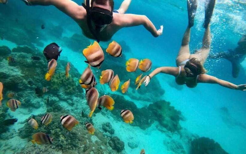 Bali Blue Lagoon Snorkeling Tour - Frequently Asked Questions